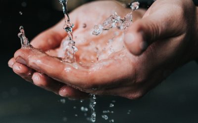 Quand l’eau déborde : les œdèmes
